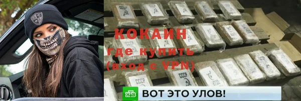 сатива Белокуриха