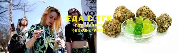 крисы Бородино