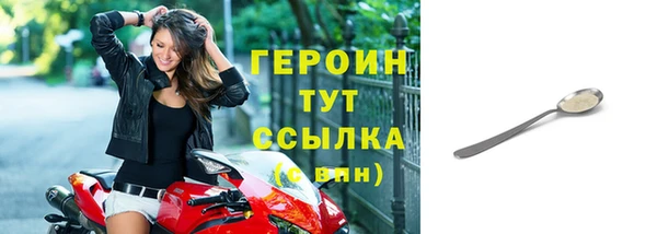 крисы Бородино