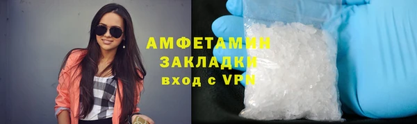 крисы Бородино