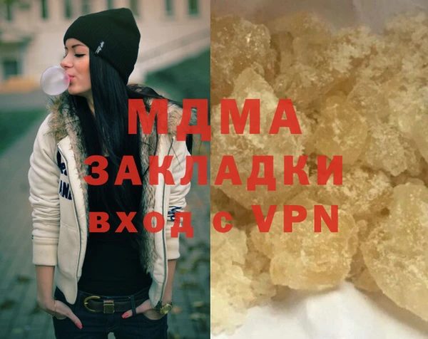 крисы Бородино