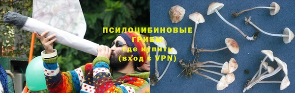 ПСИЛОЦИБИНОВЫЕ ГРИБЫ Верхний Тагил