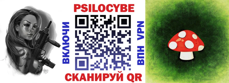 где можно купить наркотик  Калач  Галлюциногенные грибы мицелий 